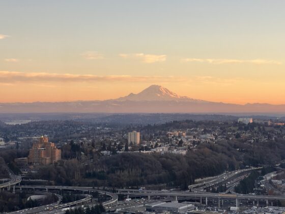 View of Rainier from Seattle Municipal Tower in December